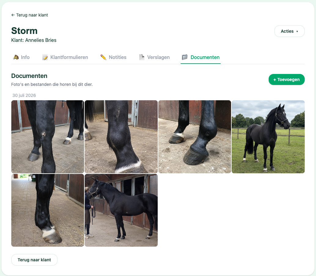 Paarddossier van Storm met documenten en foto's.